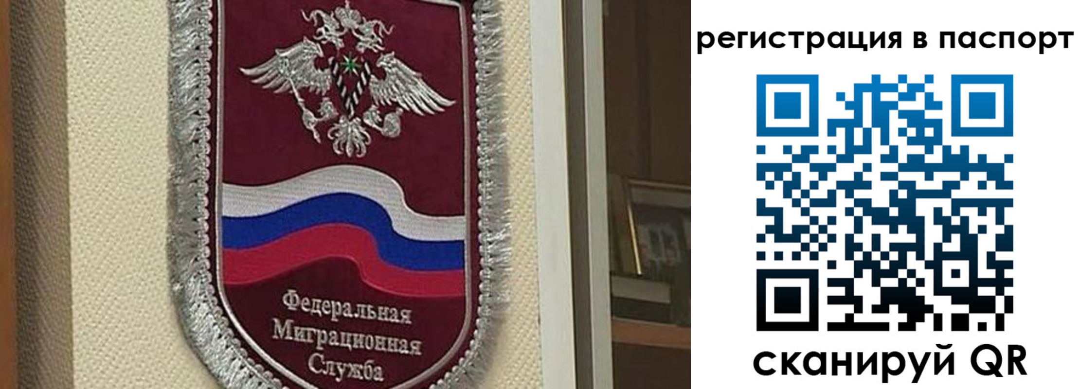 прописка законно в Коврове